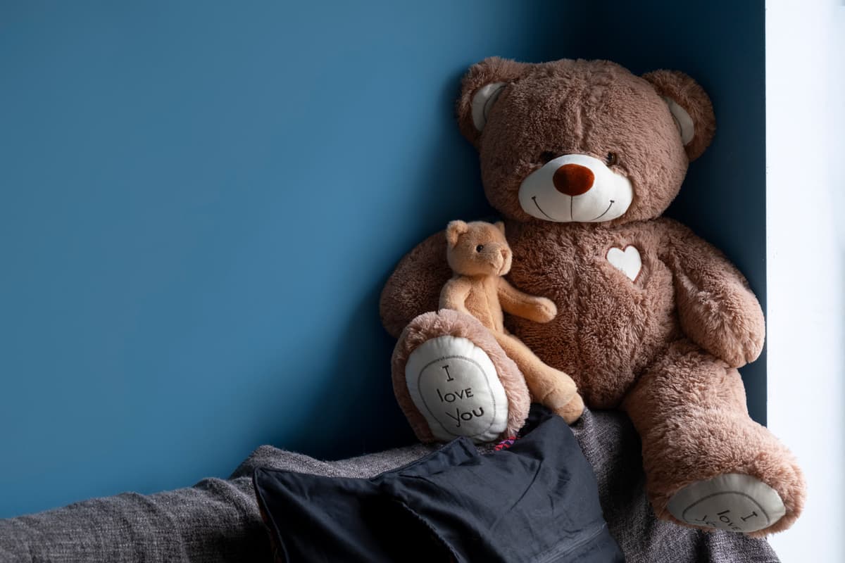 CuddleBear Plush Toy